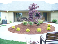 Memory Care Facility #1 thumbnail